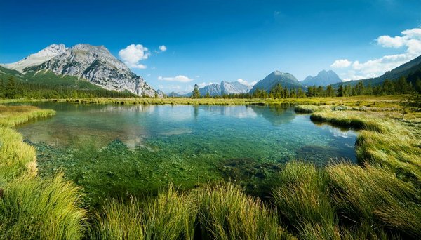 Location de vacances pour découvrir les châteaux en France